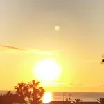 Primera Linea De Playa A 1km Del Puerto De Apartman *