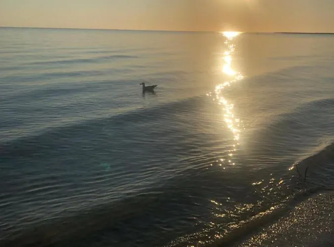 Primera Linea De Playa A 1km Del Puerto De Apartament *